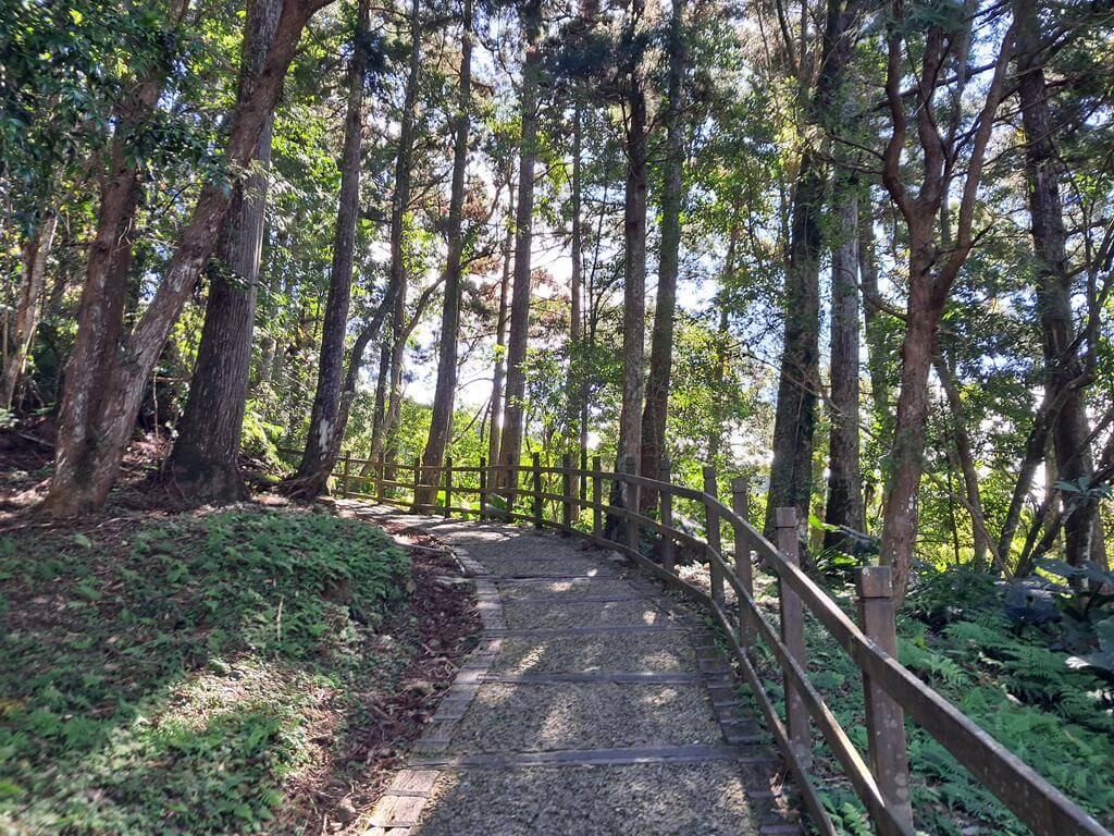 東眼山國家森林遊樂區的圖片：第8張照片
