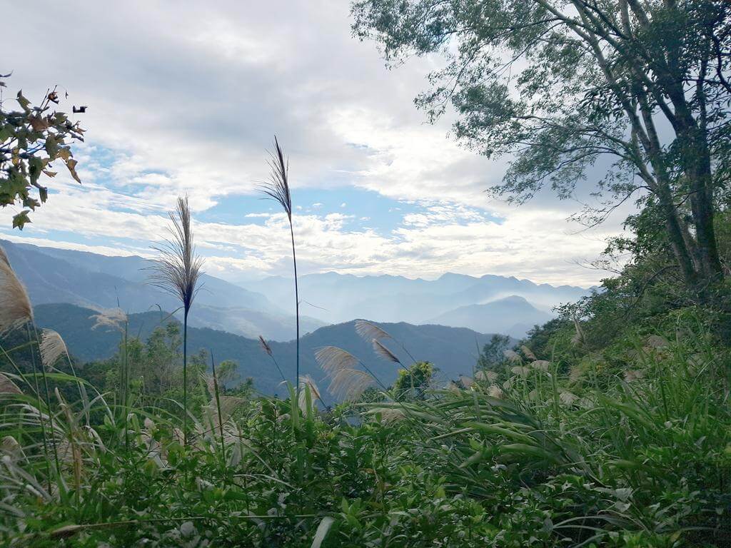 東眼山國家森林遊樂區的圖片：第26張照片