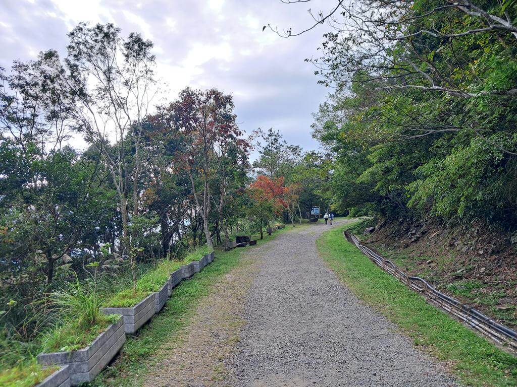 東眼山國家森林遊樂區的圖片：第27張照片