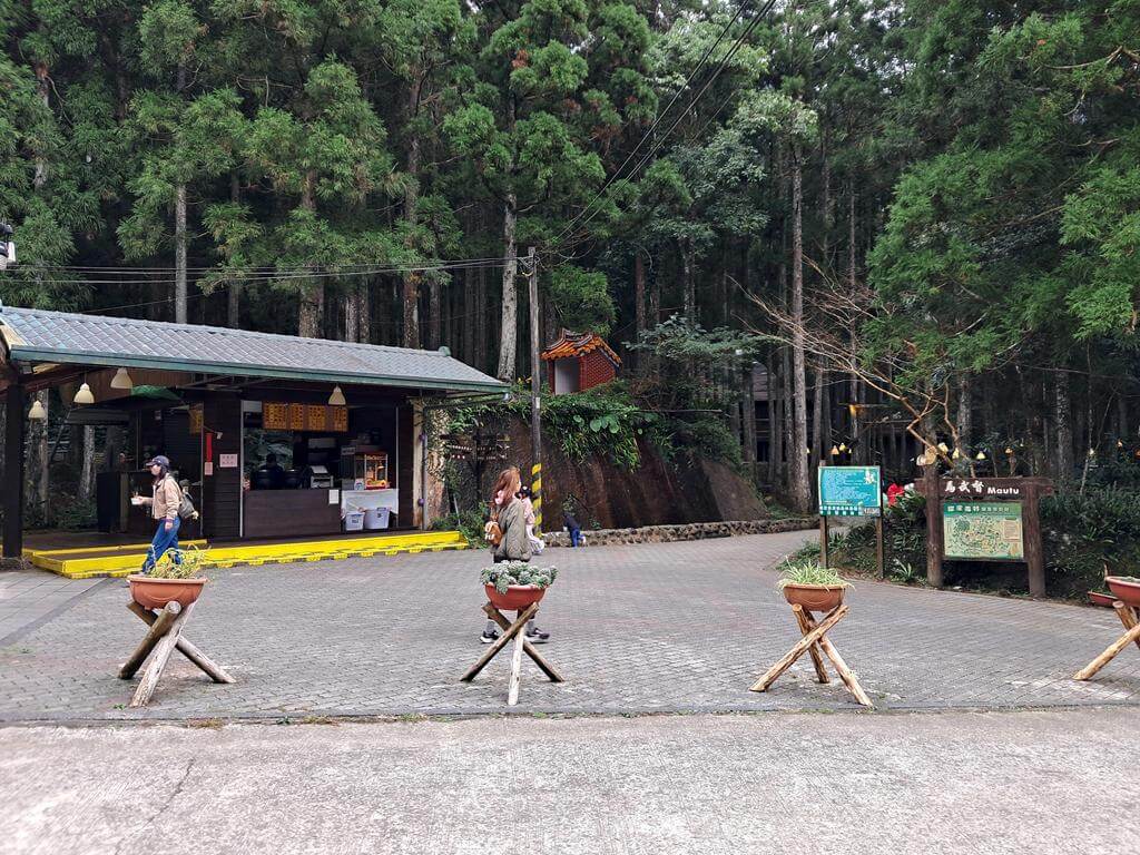 馬武督探索森林的圖片：第1張照片