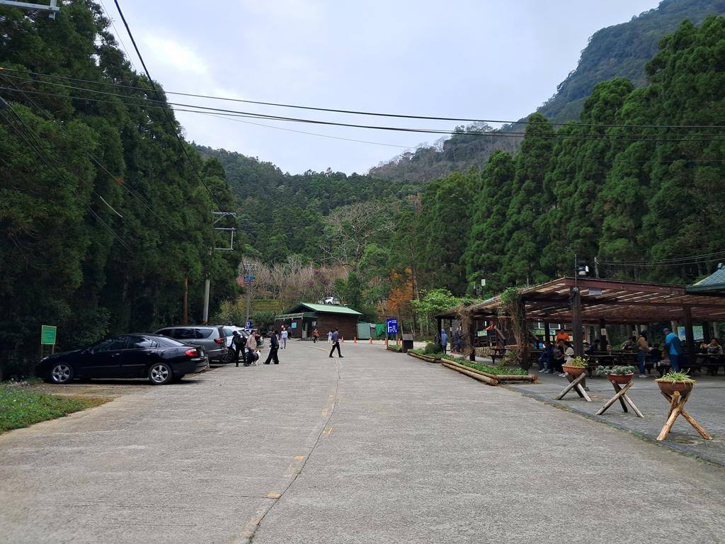 馬武督探索森林的圖片：第2張照片