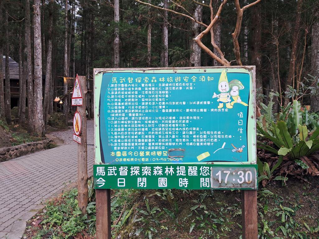 馬武督探索森林的圖片：第3張照片