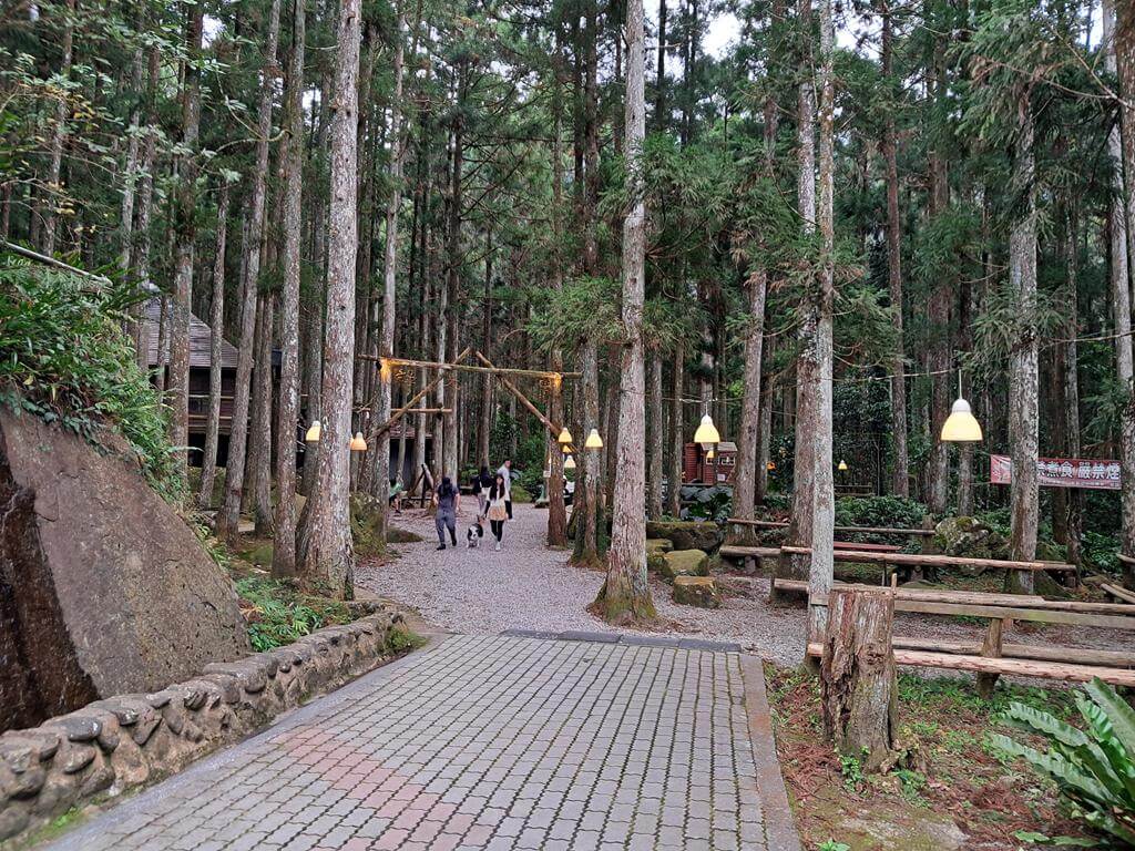 馬武督探索森林的圖片：第5張照片