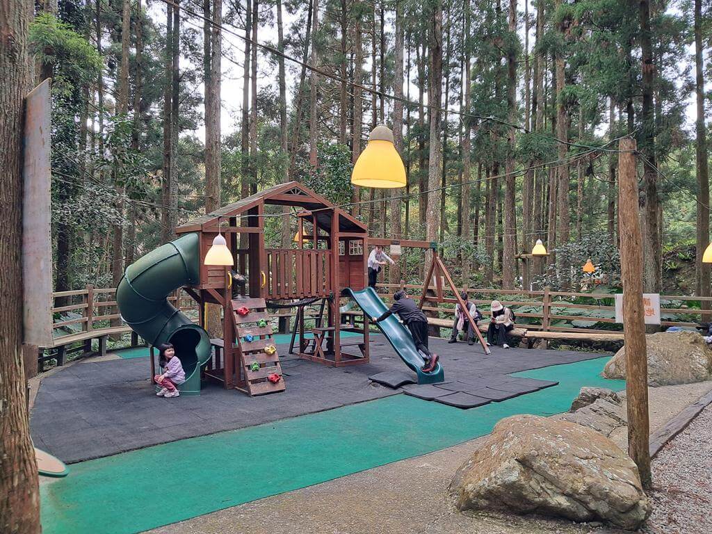 馬武督探索森林的圖片：第8張照片