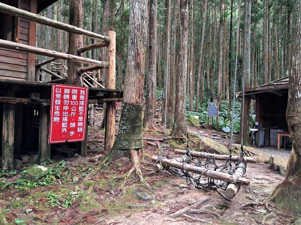 馬武督探索森林的圖片：第10張照片