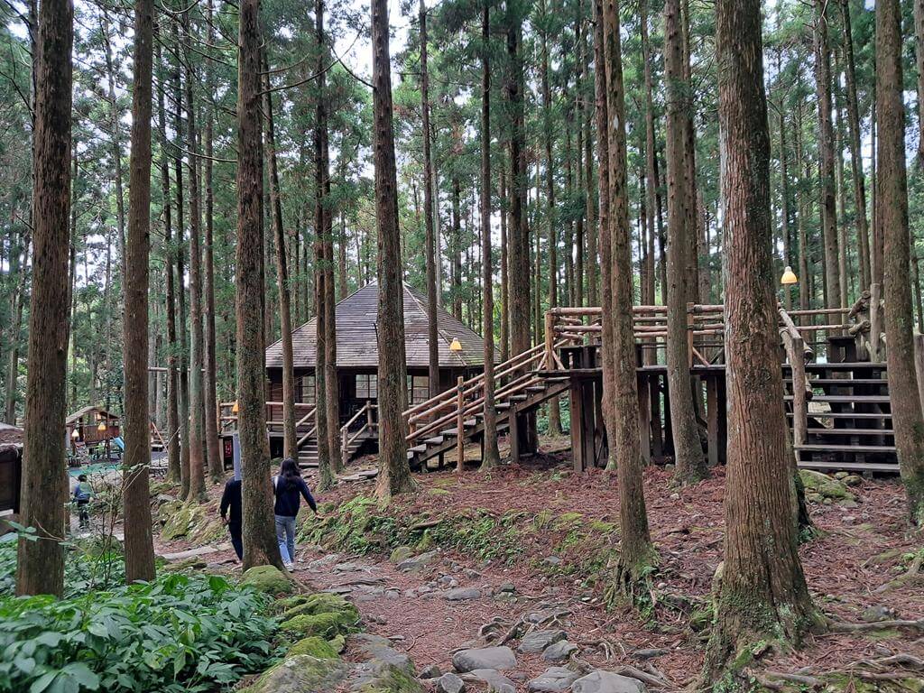 馬武督探索森林的圖片：第13張照片