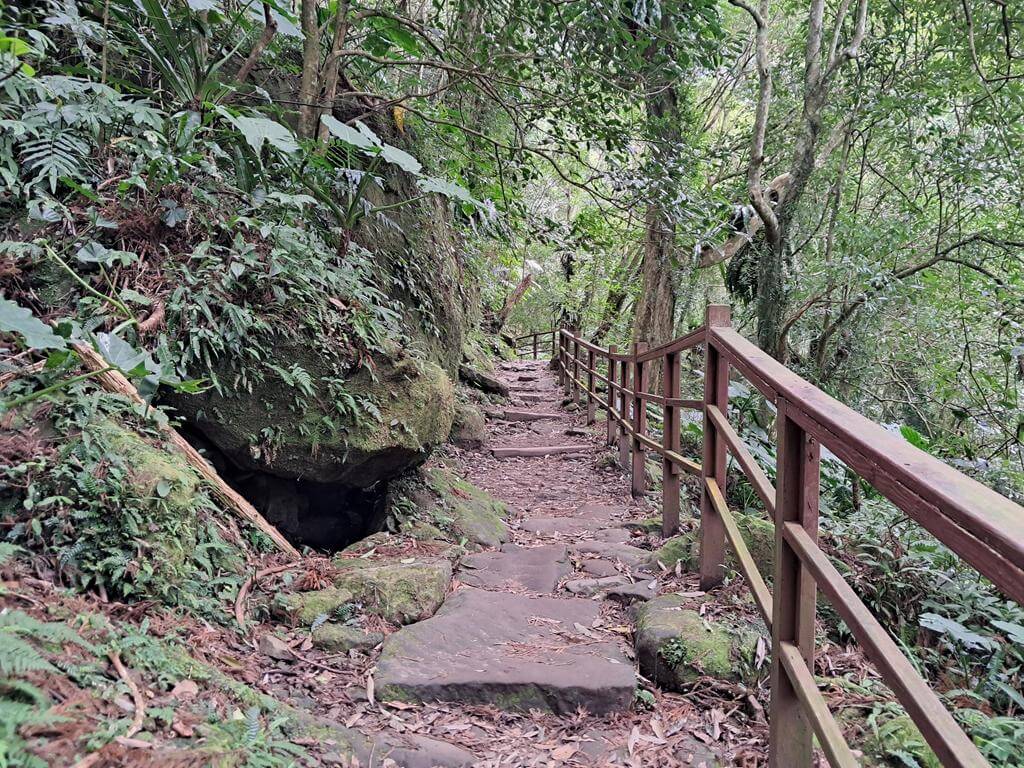 馬武督探索森林的圖片：第21張照片