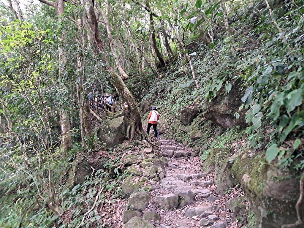 馬武督探索森林的圖片：第31張照片