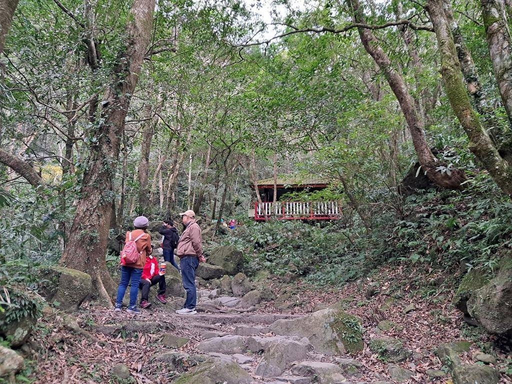 馬武督探索森林的圖片：第32張照片