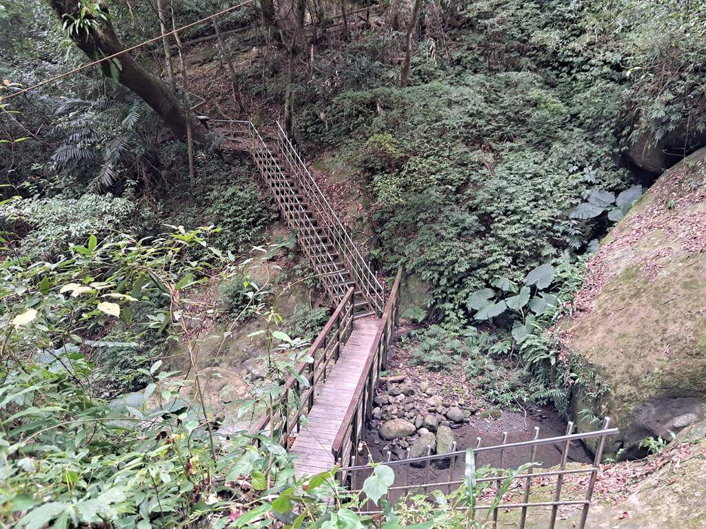 馬武督探索森林的圖片：第36張照片