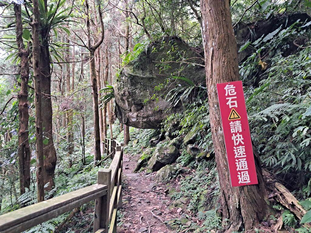 馬武督探索森林的圖片：第37張照片