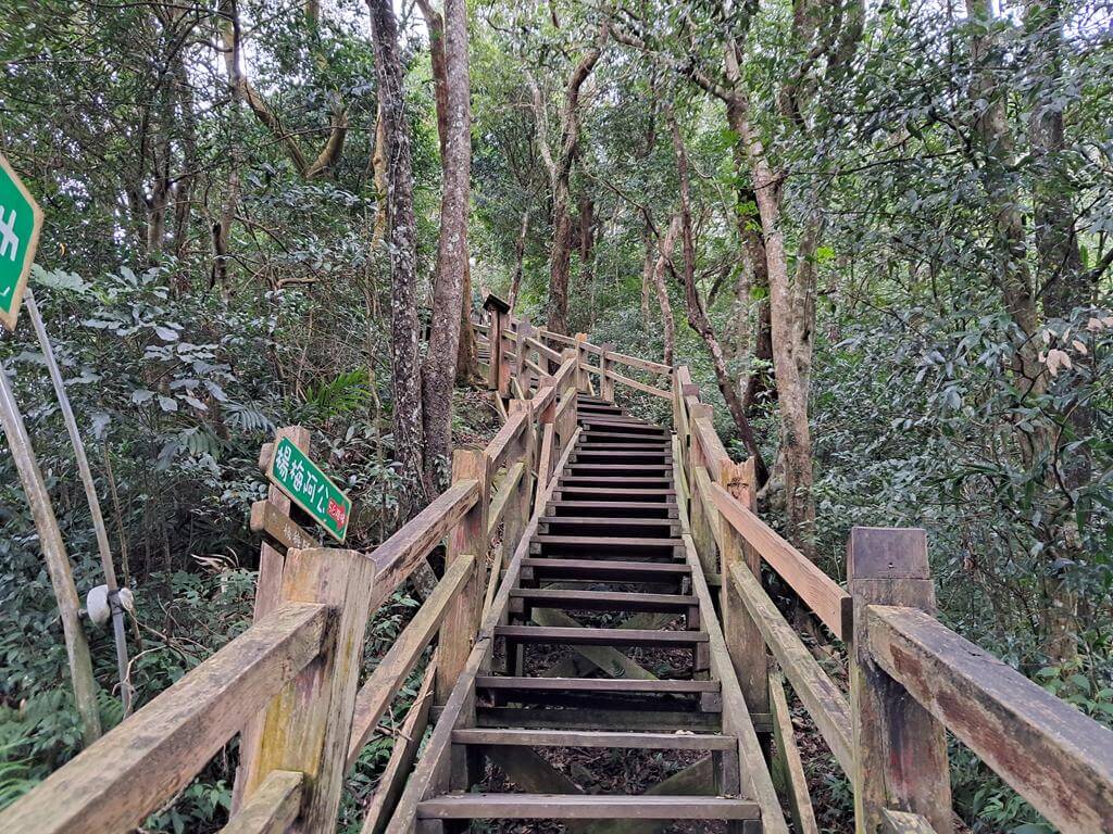 馬武督探索森林的圖片：第40張照片