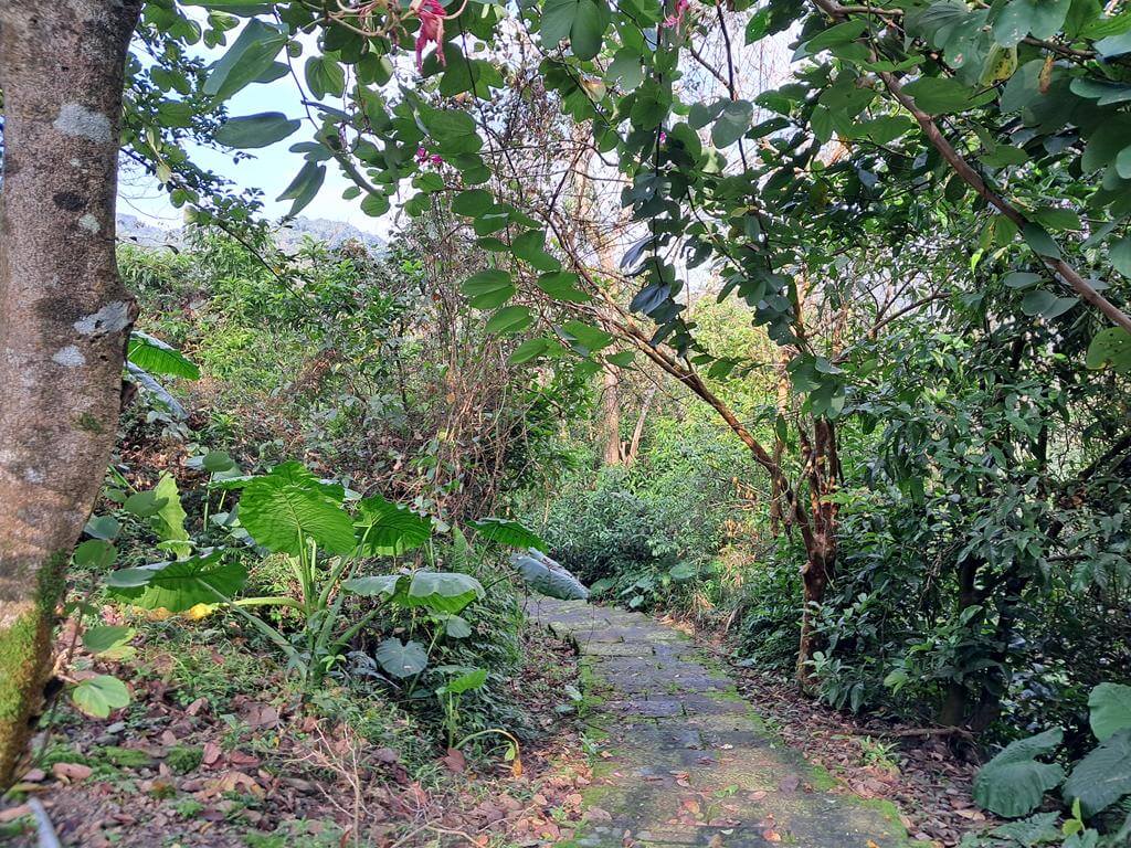 仁山植物園的圖片：第4張照片