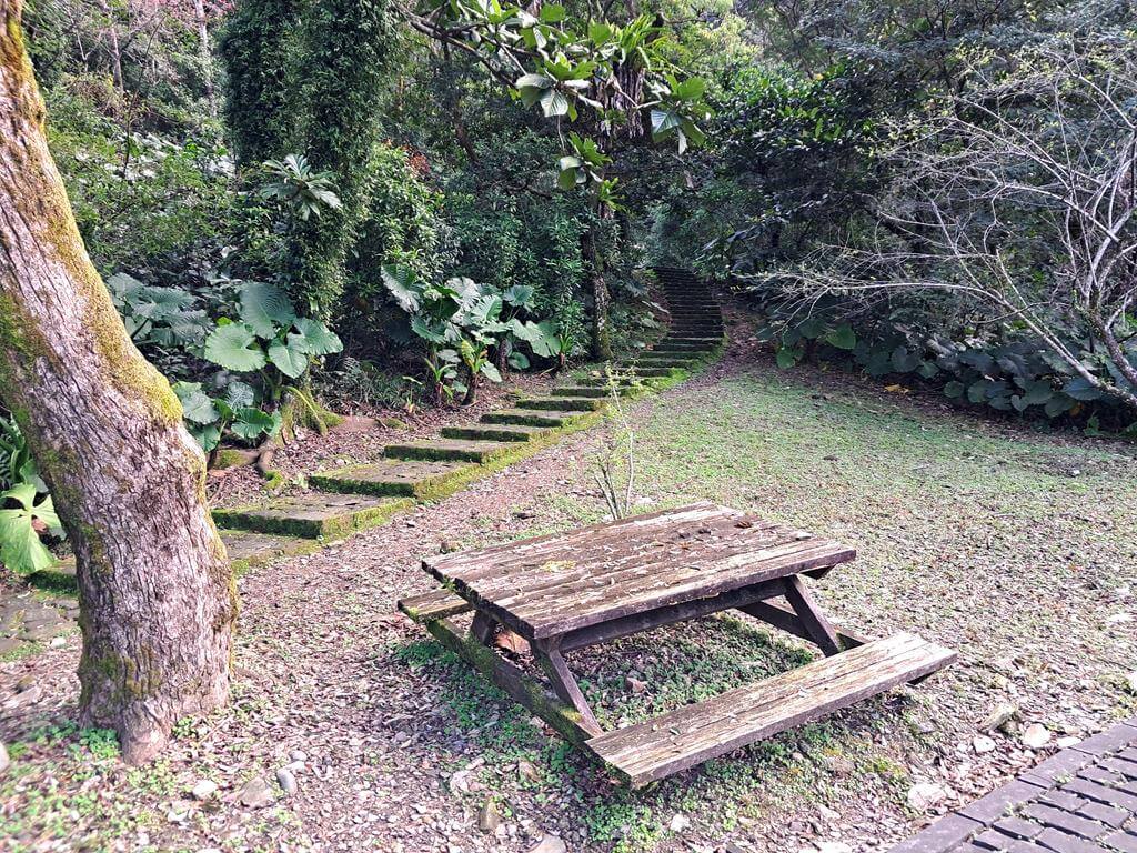仁山植物園的圖片：第9張照片