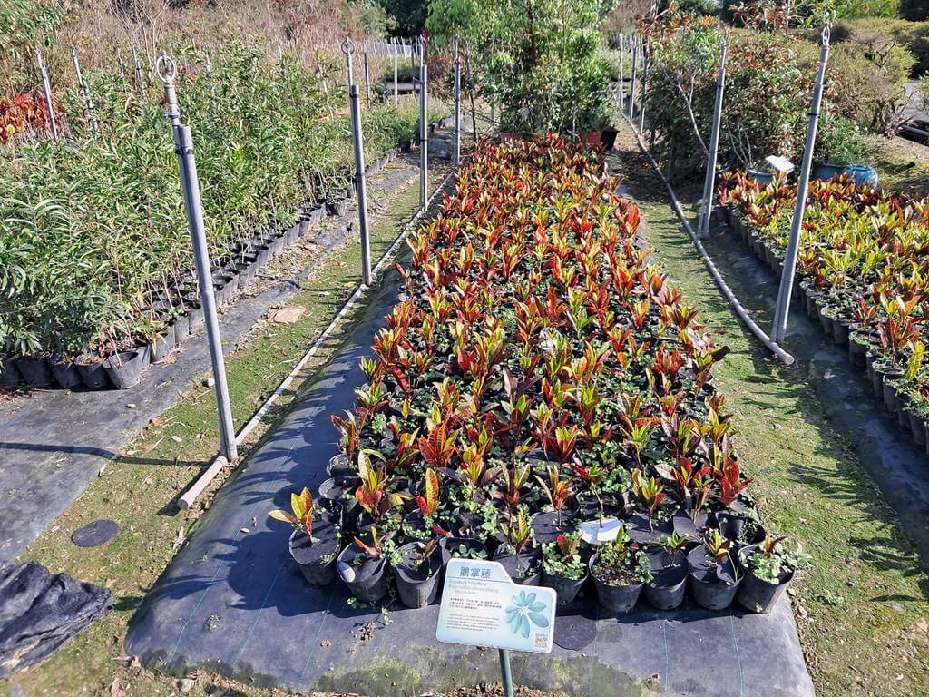仁山植物園的圖片：第14張照片