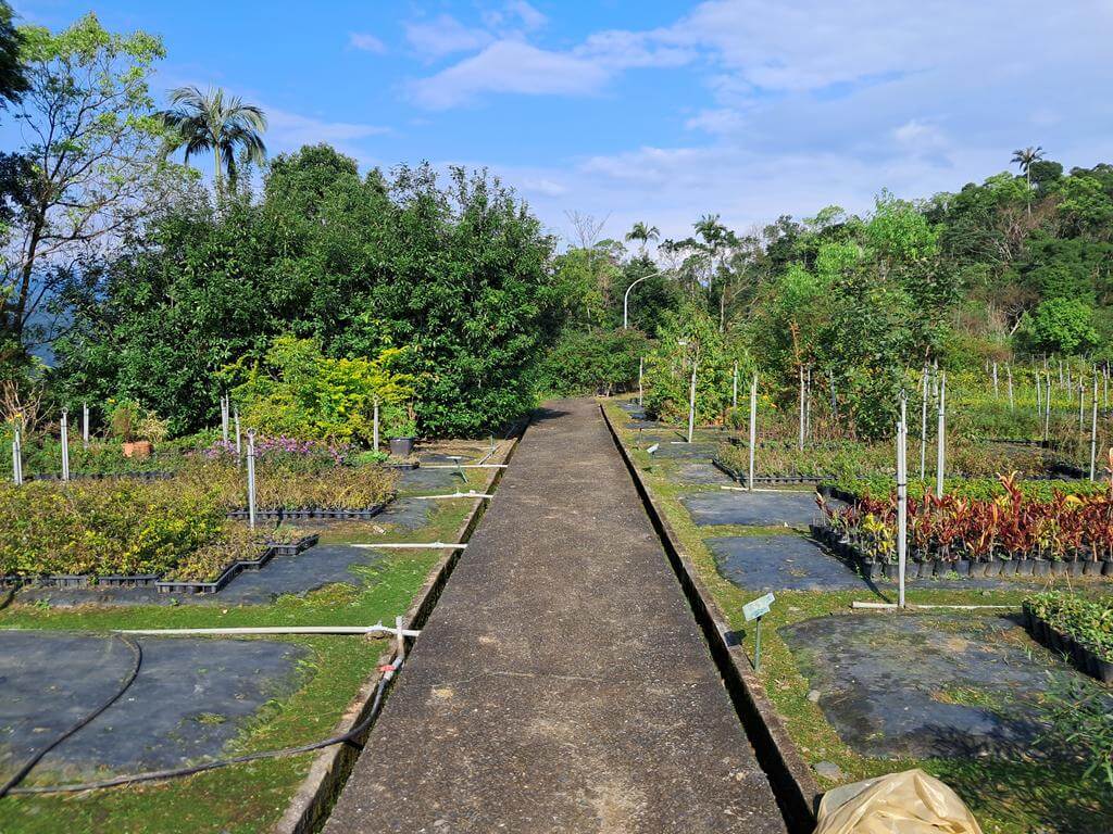 仁山植物園的圖片：第15張照片