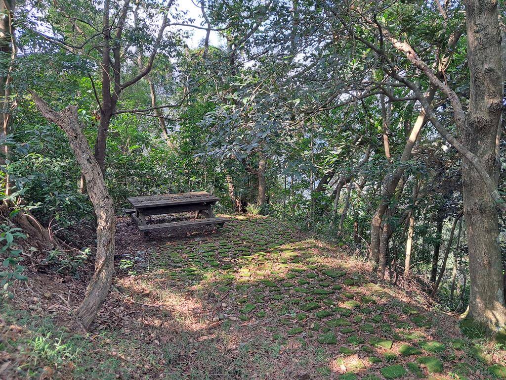 仁山植物園的圖片：第30張照片