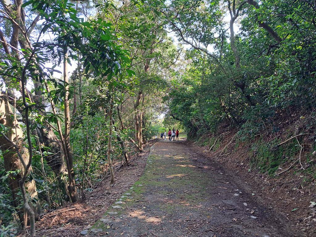 仁山植物園的圖片：第31張照片