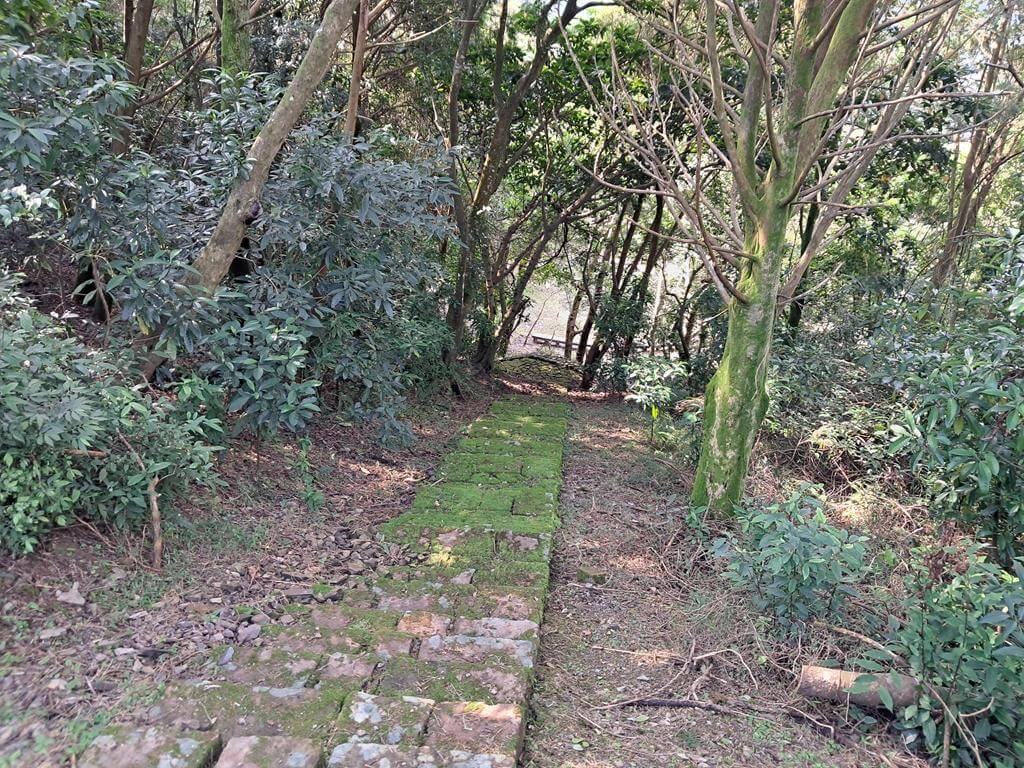 仁山植物園的圖片：第32張照片