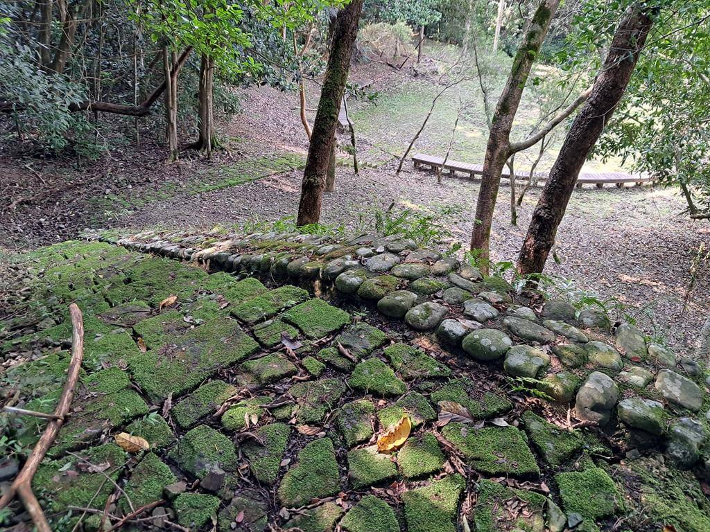 仁山植物園的圖片：第33張照片