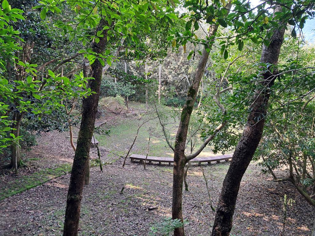 仁山植物園的圖片：第35張照片