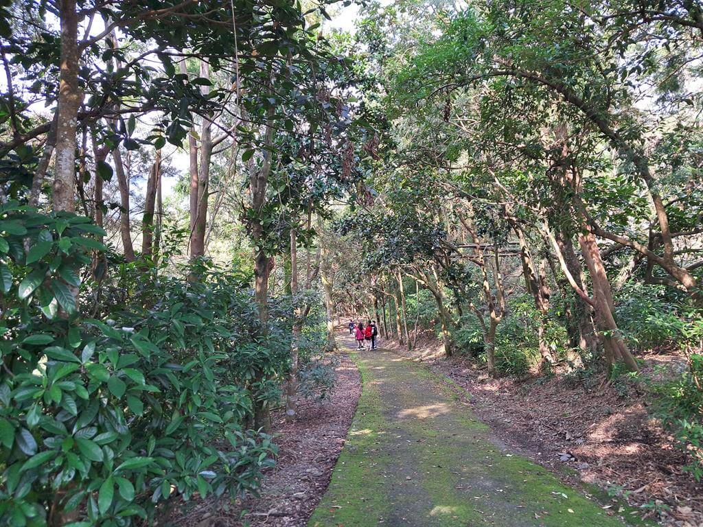仁山植物園的圖片：第37張照片