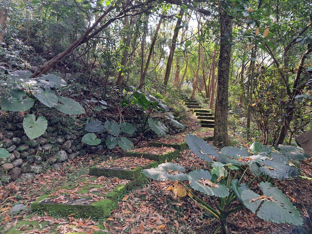 仁山植物園的圖片：第38張照片