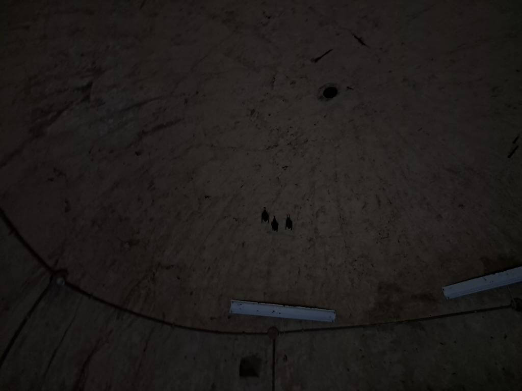 仁山植物園的圖片：第39張照片