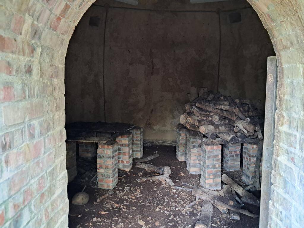 仁山植物園的圖片：第40張照片