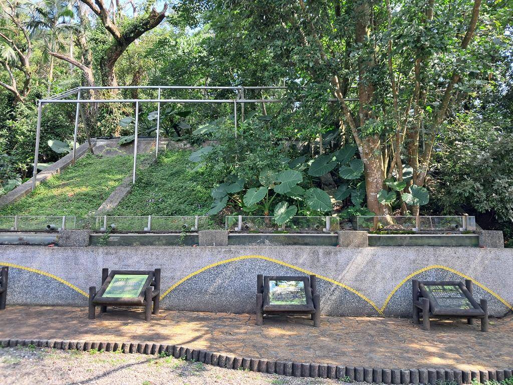 仁山植物園的圖片：第45張照片