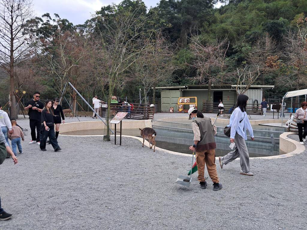 宜蘭斑比山丘的圖片：第11張照片