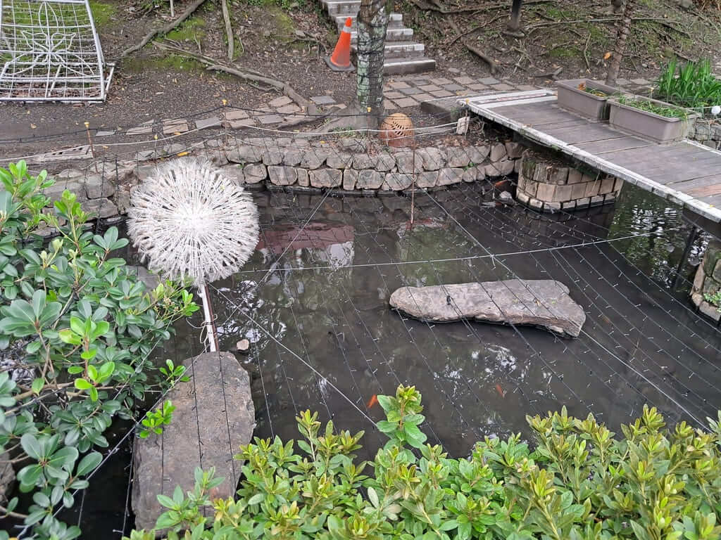 湯圍溝溫泉公園的圖片：第5張照片