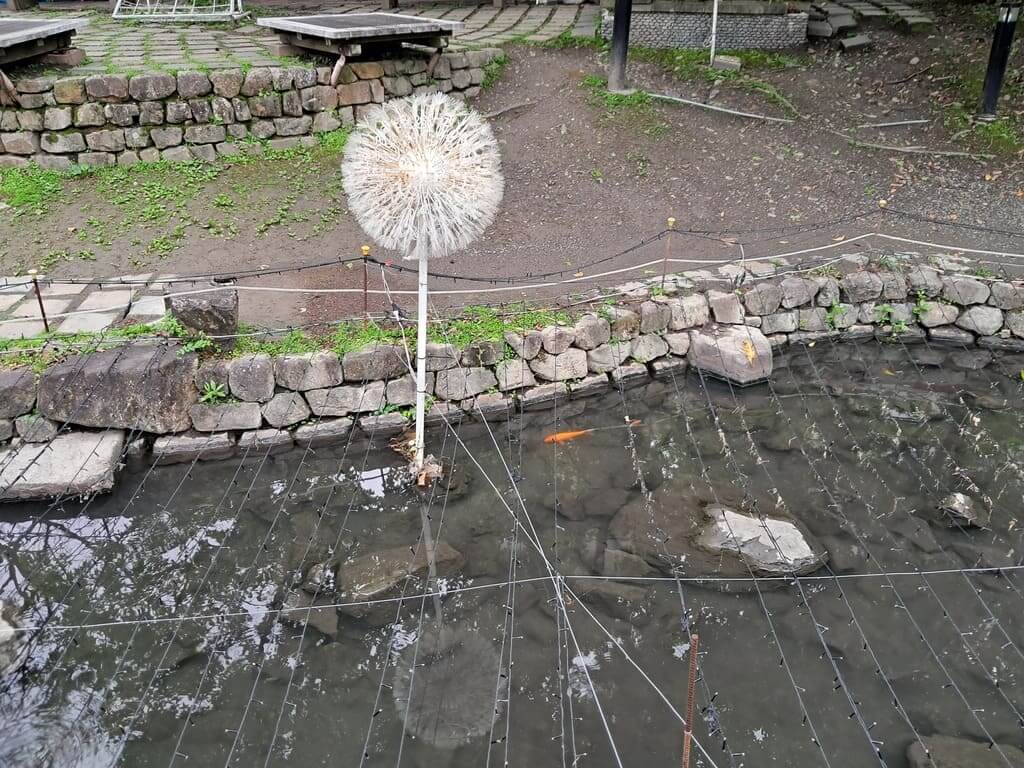 湯圍溝溫泉公園的圖片：第9張照片