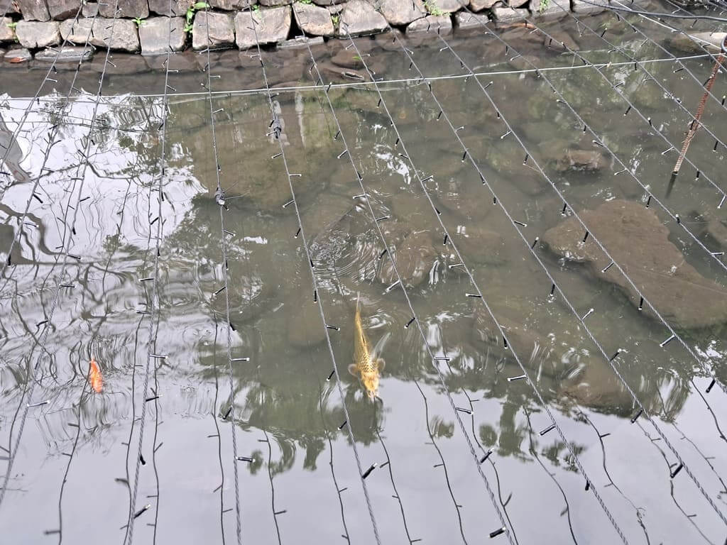 湯圍溝溫泉公園的圖片：第10張照片
