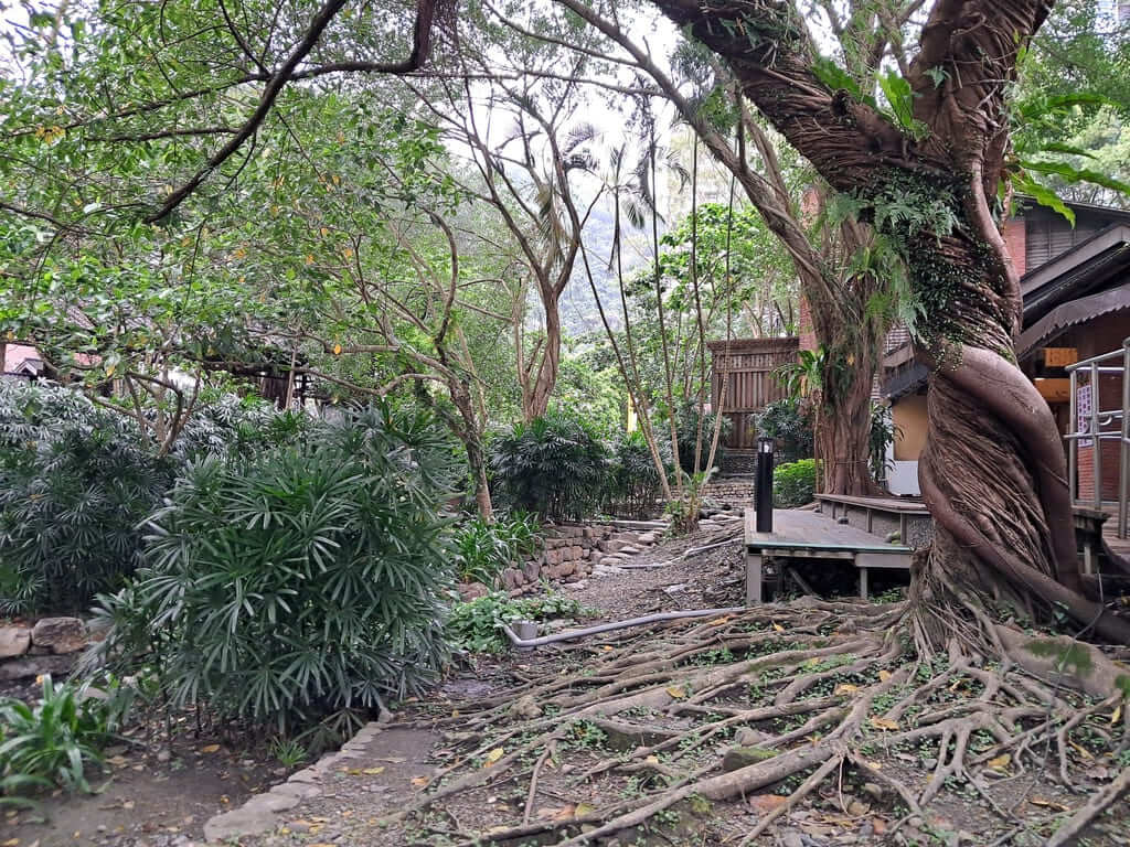湯圍溝溫泉公園的圖片：第21張照片