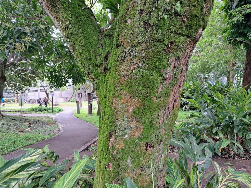 礁溪溫泉公園的圖片：第7張照片