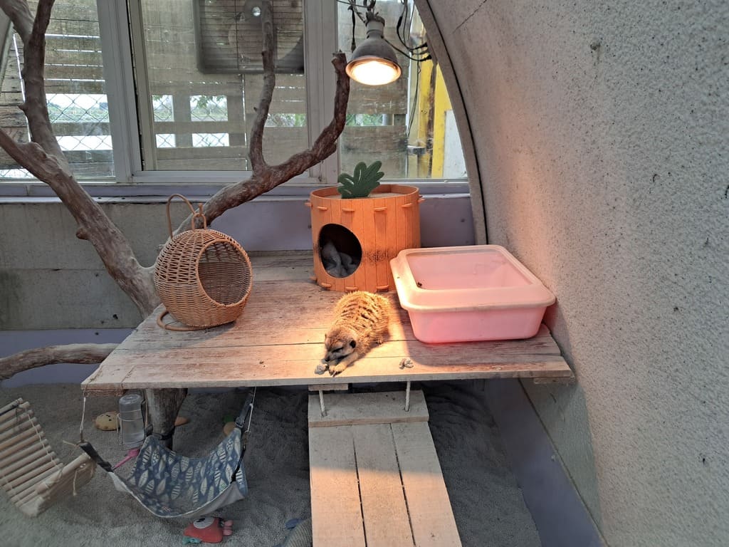 回巢農場的圖片：第8張照片