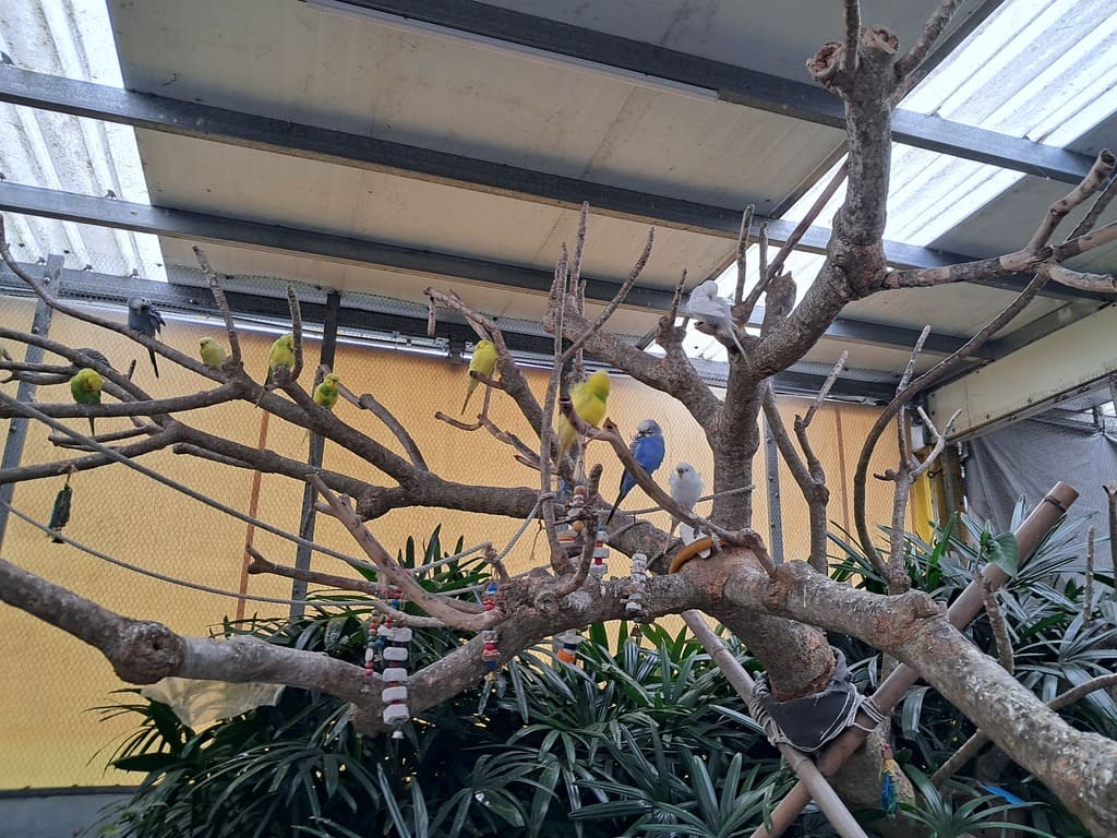 回巢農場的圖片：第9張照片