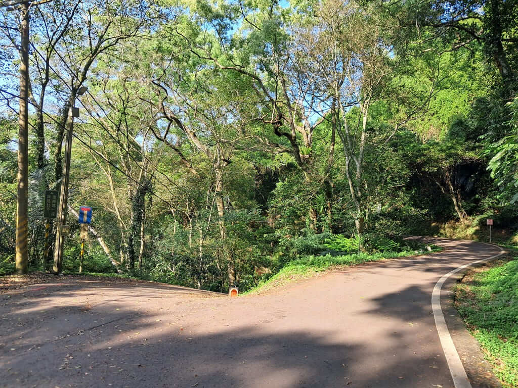 百吉林蔭步道的圖片：第4張照片