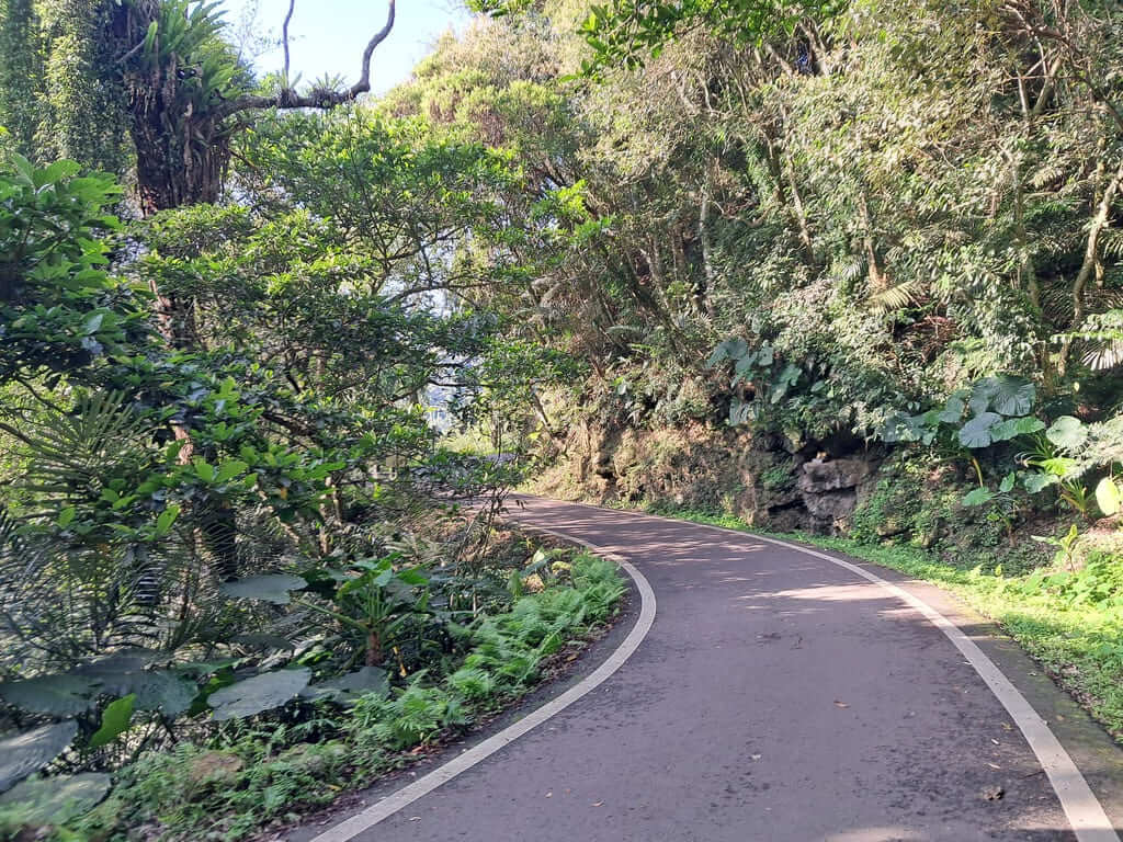 百吉林蔭步道的圖片：第6張照片