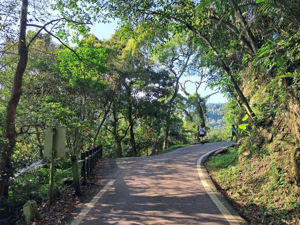 百吉林蔭步道的圖片：第7張照片