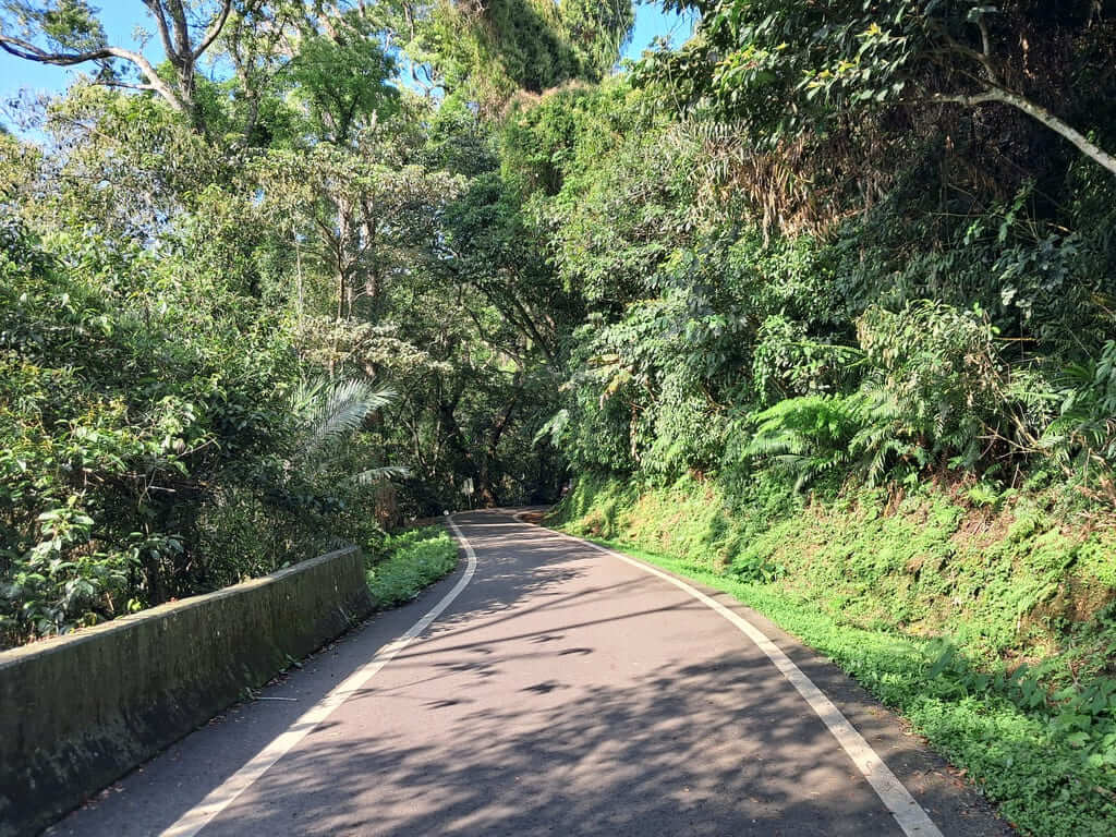 百吉林蔭步道的圖片：第8張照片