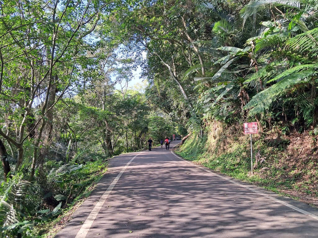 百吉林蔭步道的圖片：第10張照片