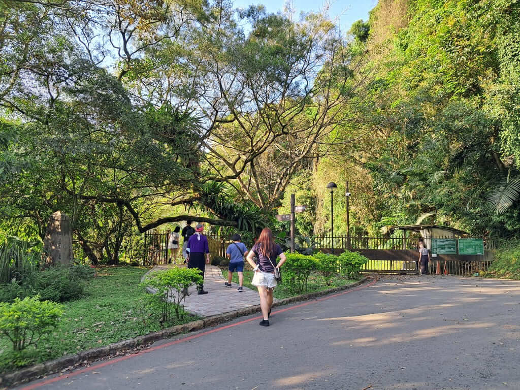 百吉林蔭步道的圖片：第11張照片