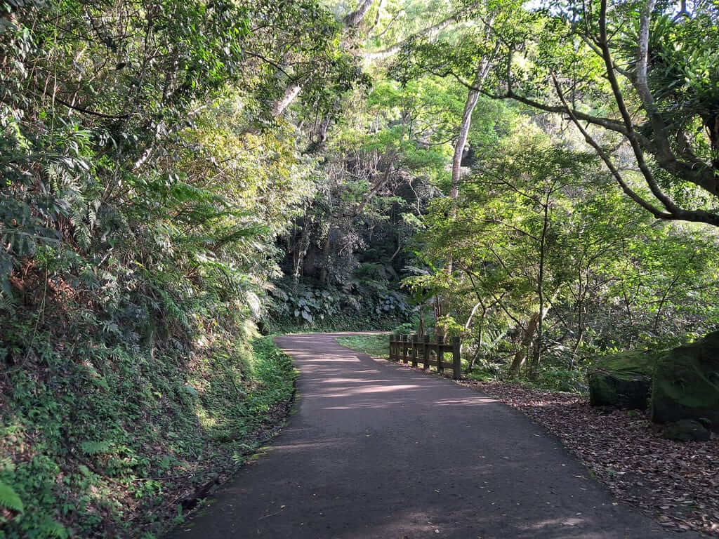 百吉林蔭步道的圖片：第20張照片