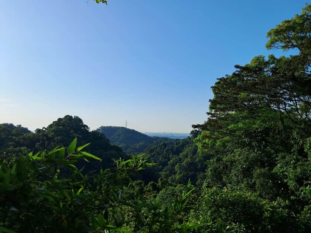 百吉林蔭步道的圖片：第21張照片