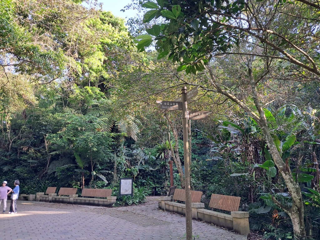 百吉林蔭步道的圖片：第22張照片