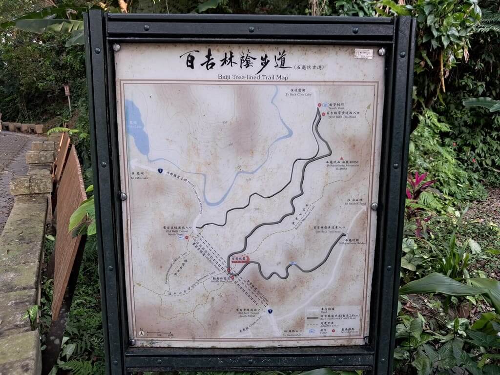 百吉林蔭步道的圖片：第23張照片