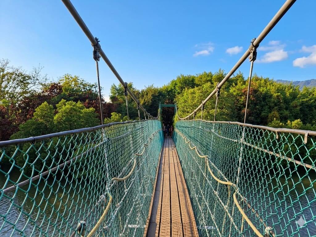 中都愛河濕地公園的圖片：第6張照片