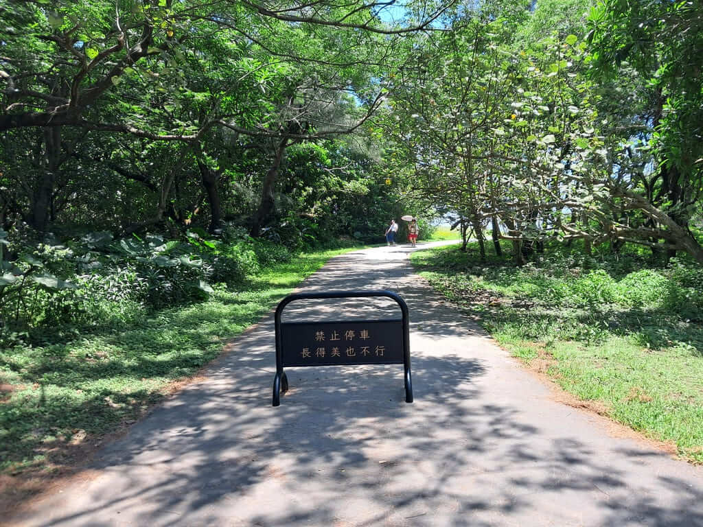 頭城八角瞭望台的圖片：第1張照片